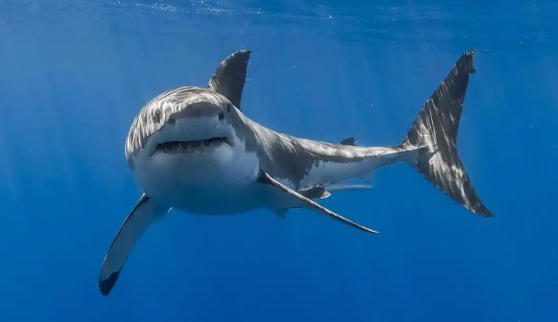 广东佰朗普照明科技有限公司轮播图3