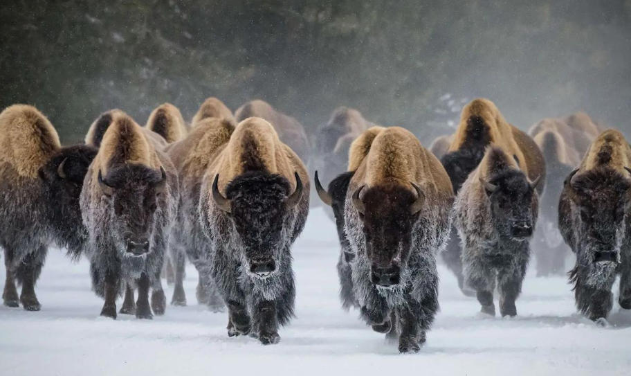 广东佰朗普照明科技有限公司轮播图2